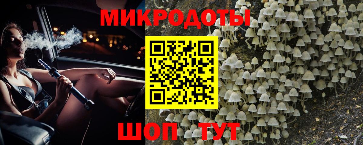 Псилоцибиновые грибы мицелий Балаково