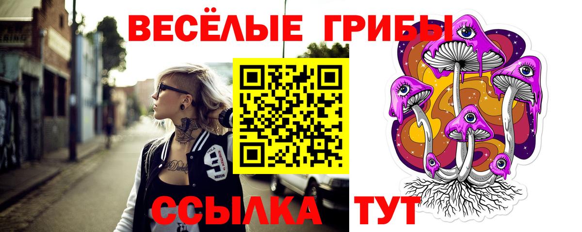 Балаково  Псилоцибиновые грибы мицелий  закладка  Вход с VPN  Псилоцибиновые грибы GOLDEN TEACHER 
